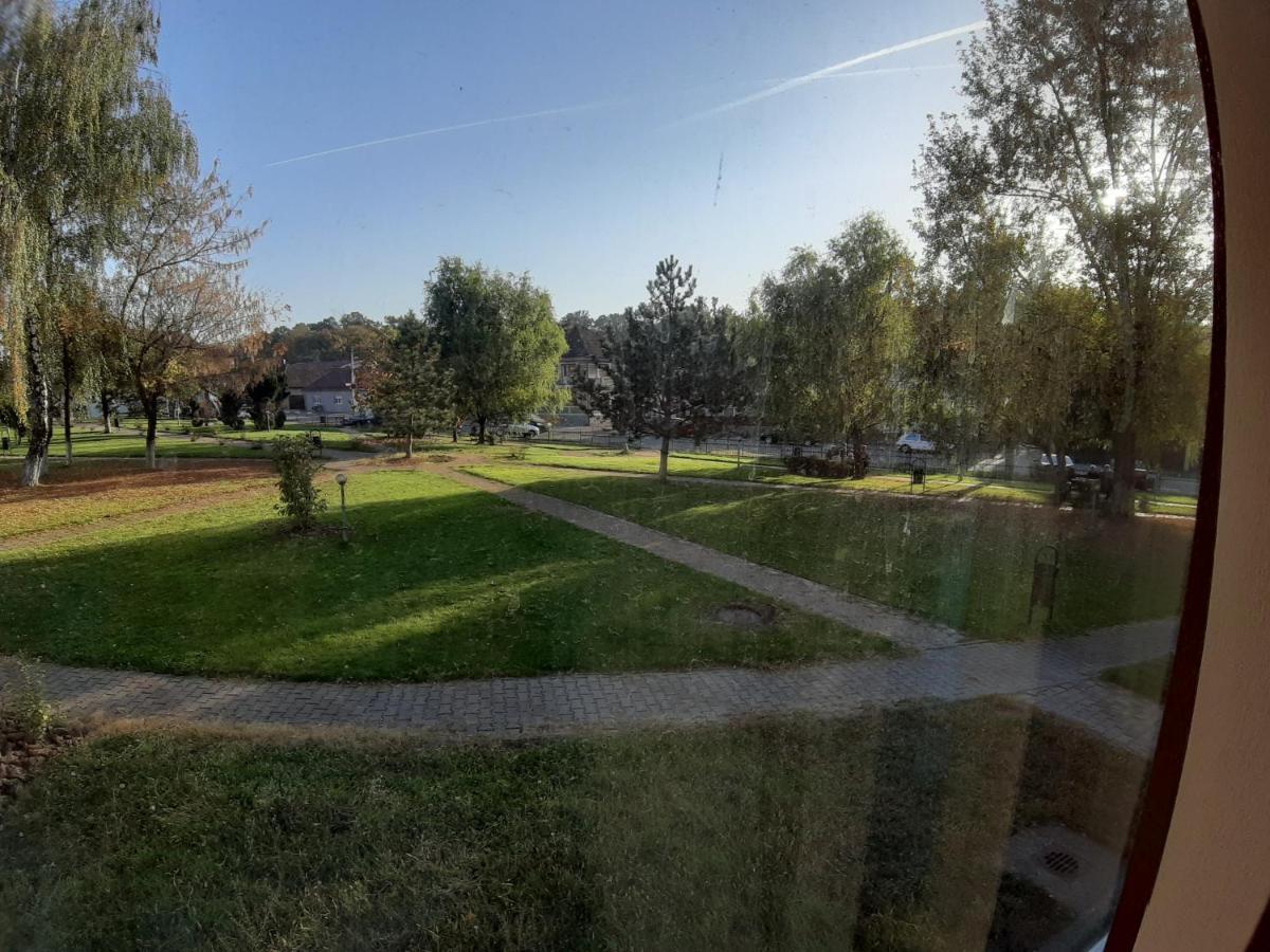 Apartament Andrei Băile Felix Buitenkant foto